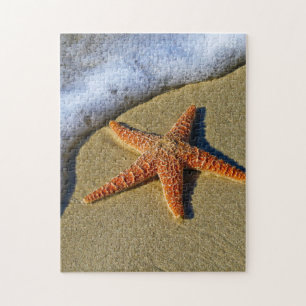 Enkelvoudige Starfish op strand Legpuzzel
