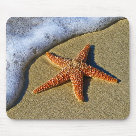 Enkelvoudige Starfish op strand Muismat (Voorkant)