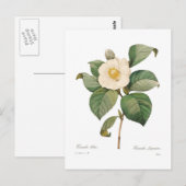 Enkelvoudige witte camellia briefkaart (Voorkant / Achterkant)