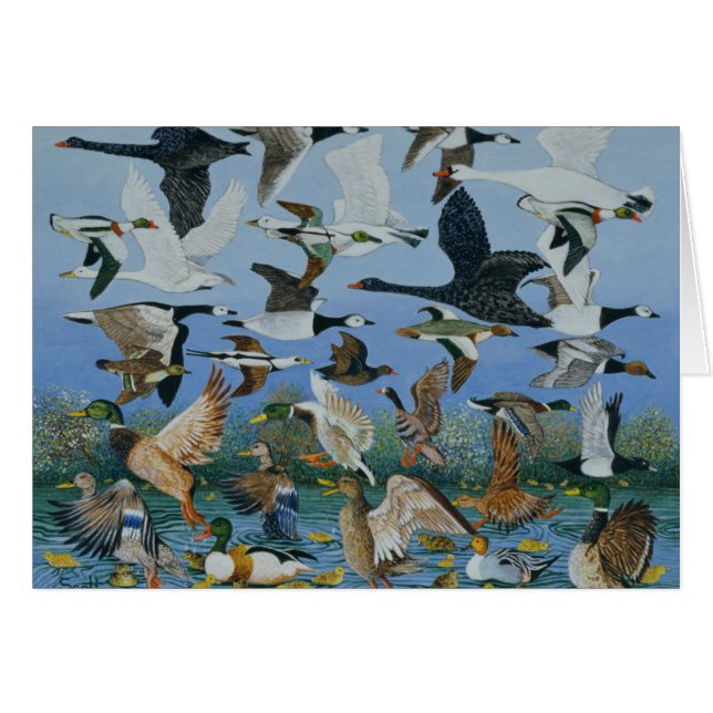 Enlèvement de 1996 (Devant horizontal)