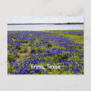 Ennis Bluebonnets par carte postale Lac Bardwell