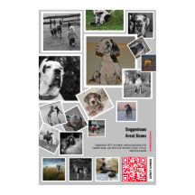 Enorme Dogge Pup te koop