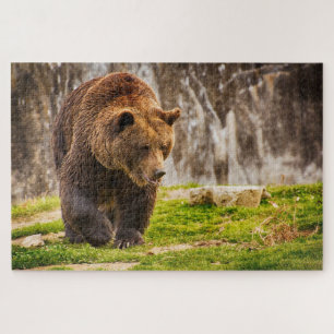 Enorme Grizzlybeer In Het Wilde Dier Legpuzzel