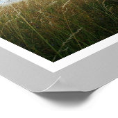 Enorme Grote Dane Pup te koop Poster (Hoek)