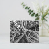 Enorme rubberwortels briefkaart (Staand voorkant)