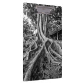 Enorme rubberwortels klembord (Rechts)