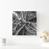 Enorme rubberwortels vierkante klok (Huis)