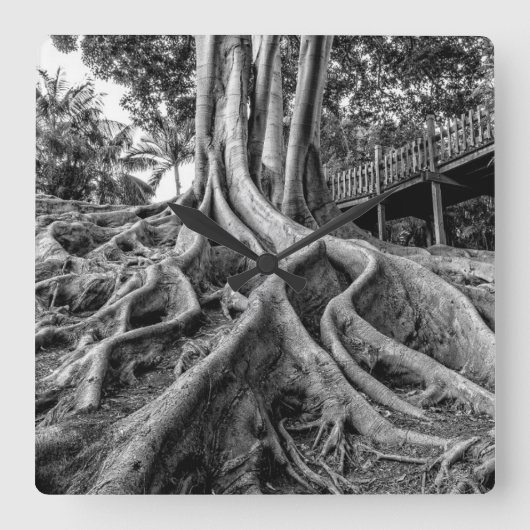 Enorme rubberwortels vierkante klok (Voorkant)