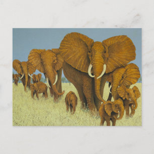 Enormous but caring briefkaart