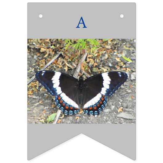 Enregistrer la bannière d'anniversaire des papillo (Deuxième drapeau)