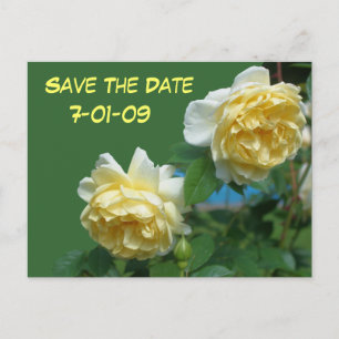 Enregistrer La Date Carte Postale Photo Fleur Rose