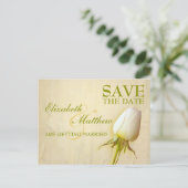 Enregistrer la date Carte postale simple Rose blan (Debout devant)