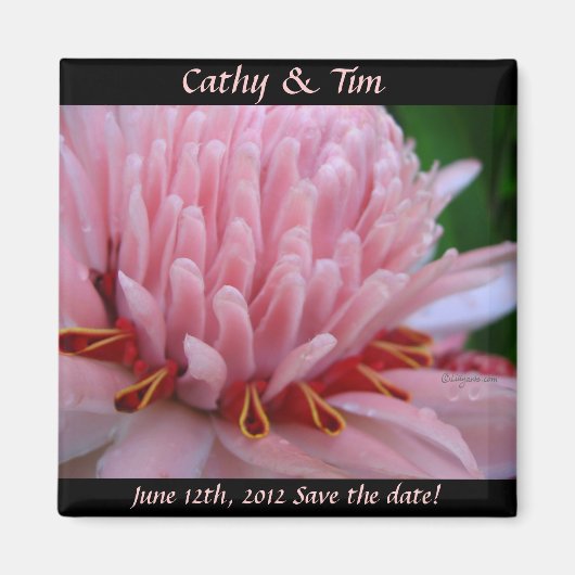 Enregistrer la date Mariage Magnets Gingembre rose (Devant)