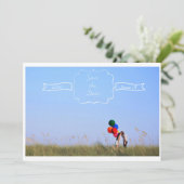 Enregistrer l'apparence de la carte postale Date 5 (Debout devant)