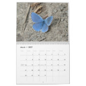 Enregistrer le calendrier des papillons 2024 (Mar 2027)