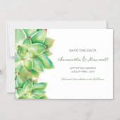 Enregistrer Le Magnet De Date, Succulent (Recto)