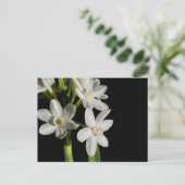 Enregistrer Les Cartes Postales Dates (Debout devant)