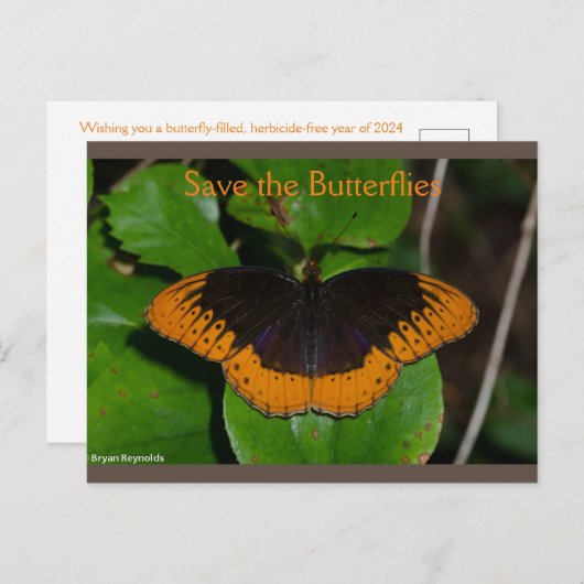 Enregistrer les papillons Arkansas 2 carte postale (Devant / Derrière)