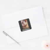 ENREGISTRER LES PIGS PIG VEGAN STICKERS (Enveloppe)