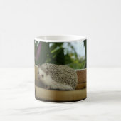 Enrouler standard autour de tasse (Centre)