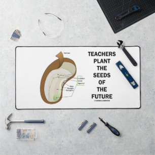 Enseignants Plante Les Graines De Futur Graines De