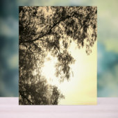 Enseigne en acrylique (Neutre)