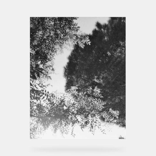 Enseigne en acrylique  (Recto)