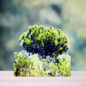 Enseigne en acrylique (Neutre)