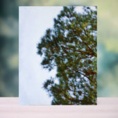 Enseigne en acrylique (Neutre)