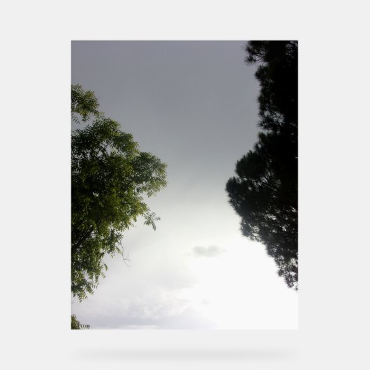 Enseigne en acrylique DESIGN ARBRE (Recto)