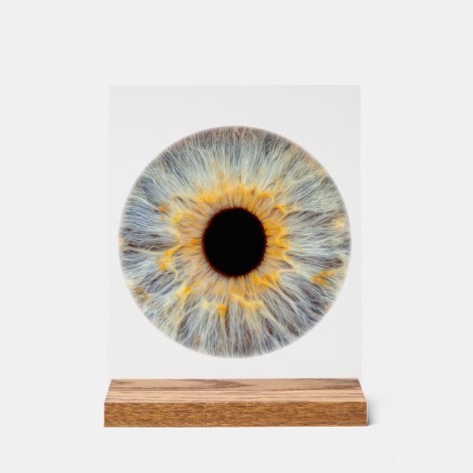 Enseigne en acrylique pour l'oeil (Recto)