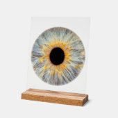 Enseigne en acrylique pour l'oeil (Angle)