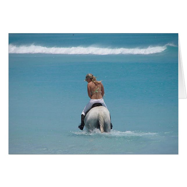 Ensemble (Devant horizontal)