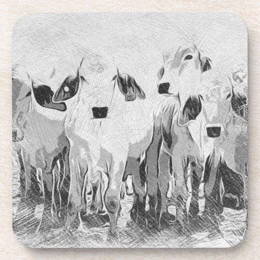 Ensemble Brah-avo de 6 Dessous de verre (Devant)