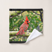 Ensemble cardinal de serviette de Sonoran (Gant de toilette)