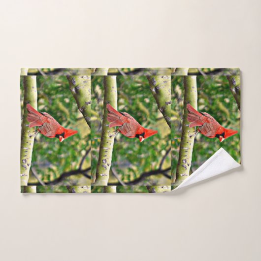 Ensemble cardinal de serviette de Sonoran (Serviette à main)