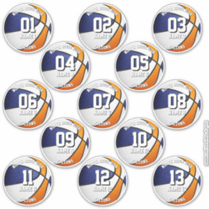 ensemble de 13 autocollants de basketball couleurs