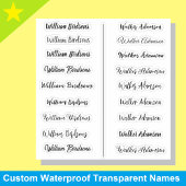 (Ensemble de 18) Stickers de nom simple transparen