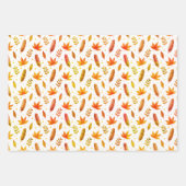 Ensemble de 3 feuilles plates de papier d'emballag (Devant 2)