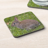 Ensemble de 6 dessous de verre Bébé Lapin (Côté gauche)