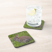 Ensemble de 6 dessous de verre Bébé Lapin (Côté Droit)