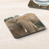 Ensemble de 6 dessous de verre Dumbo (Côté gauche)