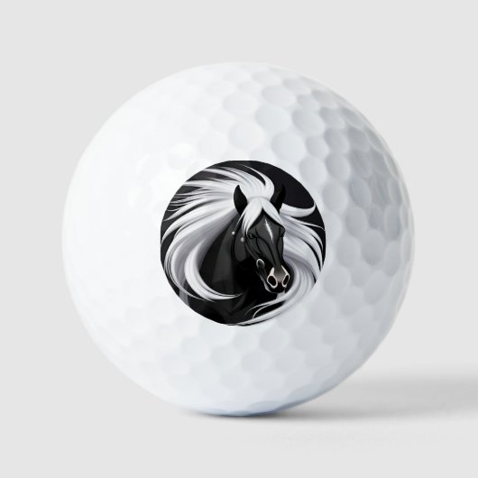 Ensemble de balles de golf Black Horse pour golfeu (Recto)