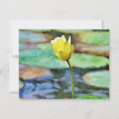 Ensemble de Cartes de Notes d'Art de Fleur de Nénu (Devant)