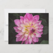 Ensemble de cartes de notes d'art de fleurs de dah (Devant)