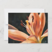 Ensemble de cartes de notes d'art de fleurs de lys (Devant)