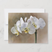 Ensemble de cartes de notes d'art de fleurs d'orch (Devant)