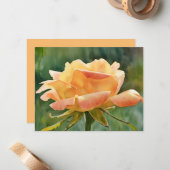 Ensemble de cartes de notes d'art de rose Gold Pea (Devant/Arrière en situation)