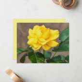 Ensemble de cartes de notes d'art de rose jaune (Devant/Arrière en situation)