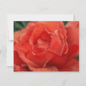 Ensemble de cartes de notes d'art de rose rose cor (Devant)